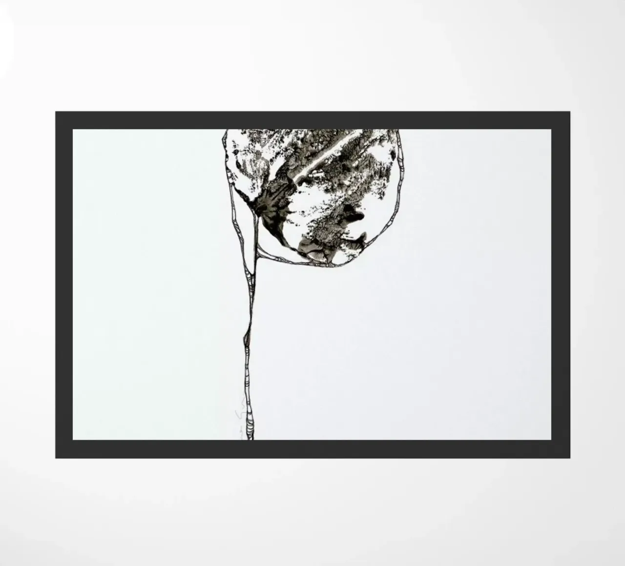 P zerbino da Marina Guiu