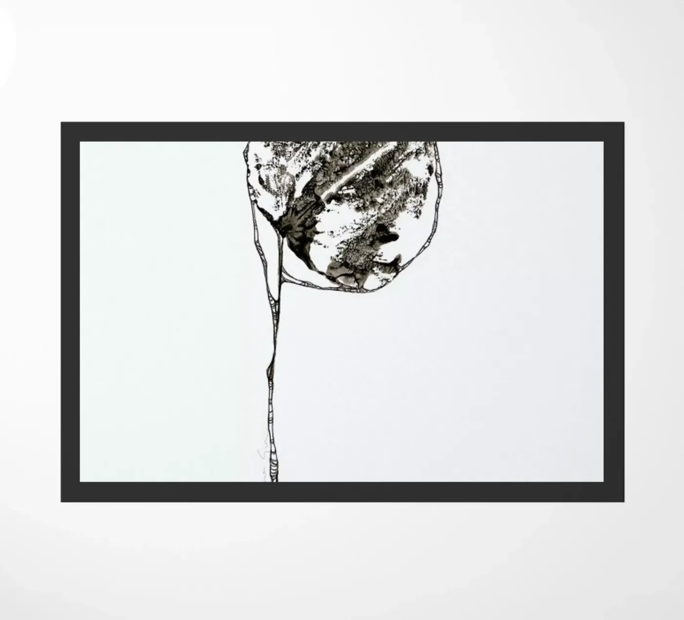 P zerbino da Marina Guiu