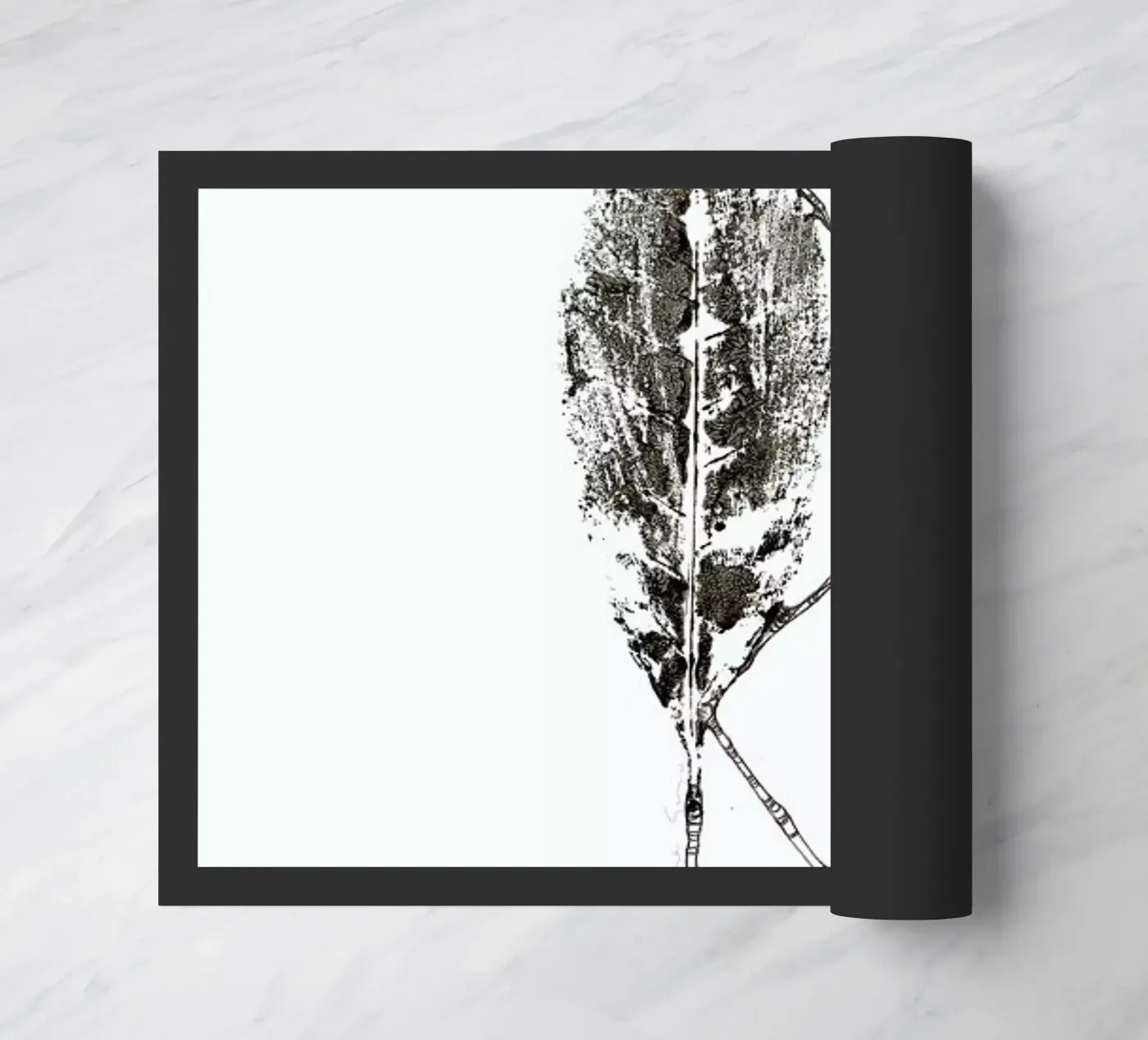 R zerbino da Marina Guiu