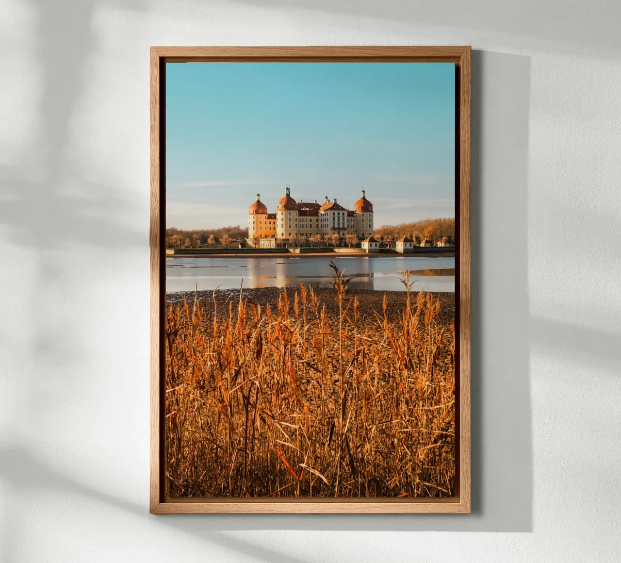 Moritzburg Castle in Saxony: Autumn photo with pond & reeds canvas with Floater frame by Bold and Retro