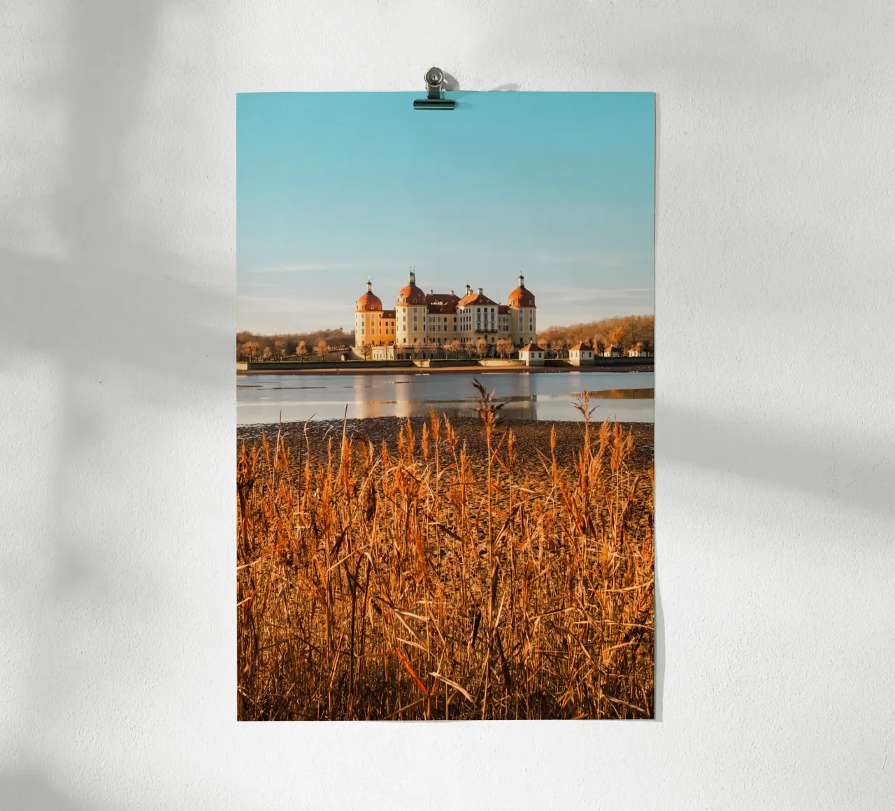Castello di Moritzburg in Sassonia: foto d'autunno con stagno e canneti poster con telaio in legno da Bold and Retro