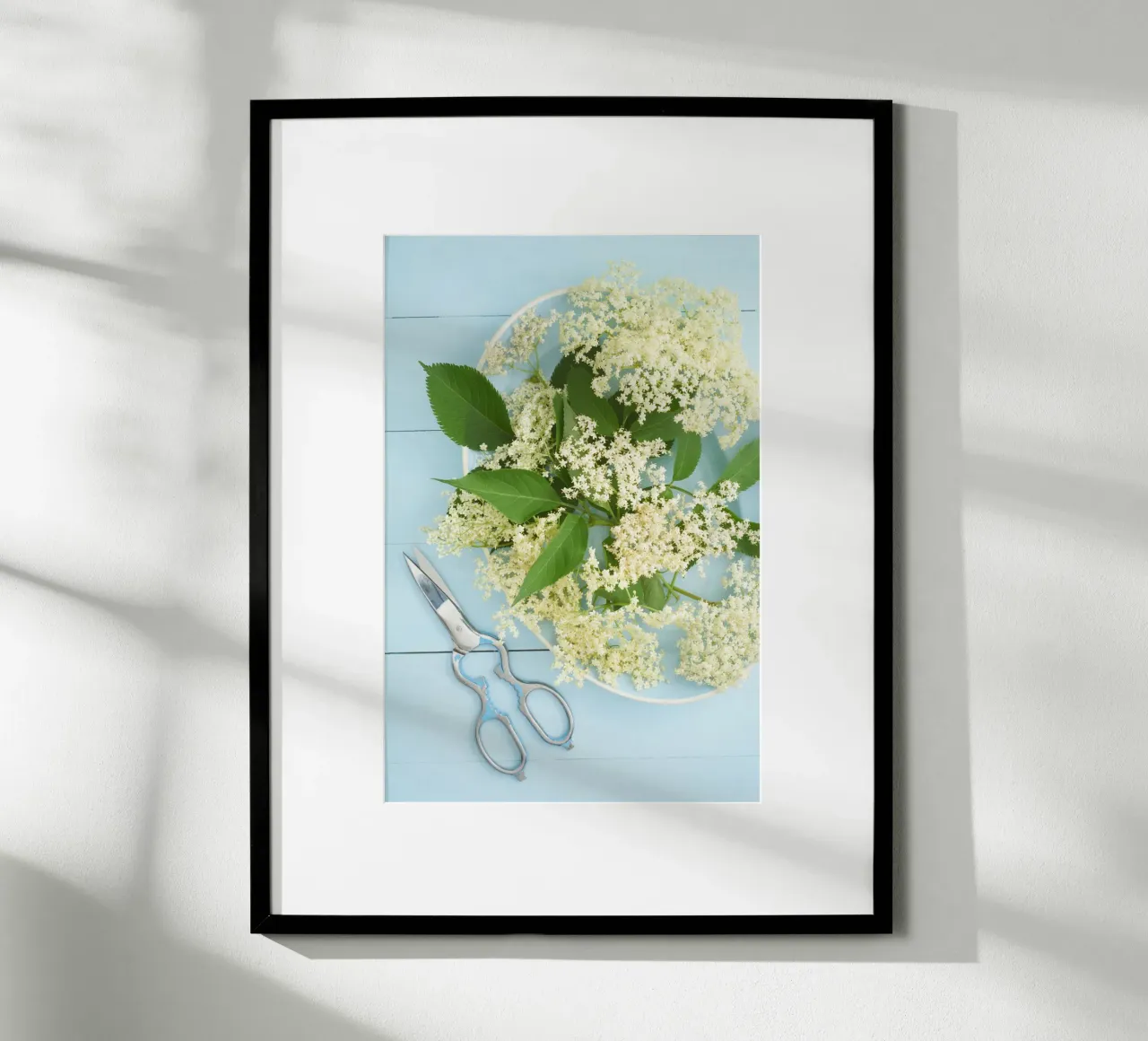 Raccolta di fiori di sambuco su tavolo blu rustico carta hahnemühle da foodphotolove