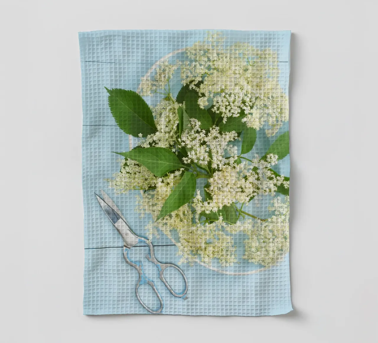 Raccolta di fiori di sambuco su tavolo blu rustico canovaccio da cucina da foodphotolove