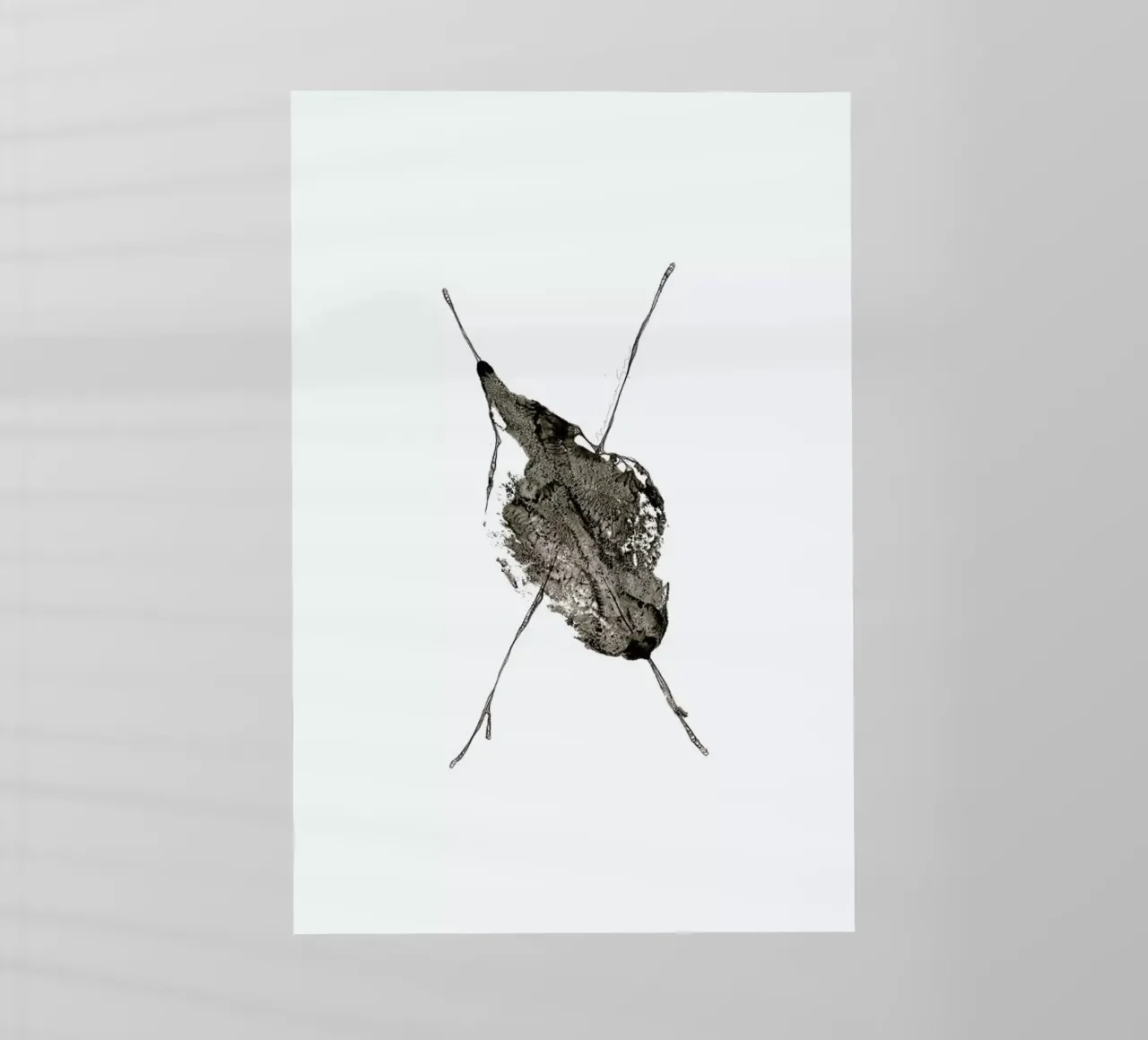 X pellicola backlit da Marina Guiu