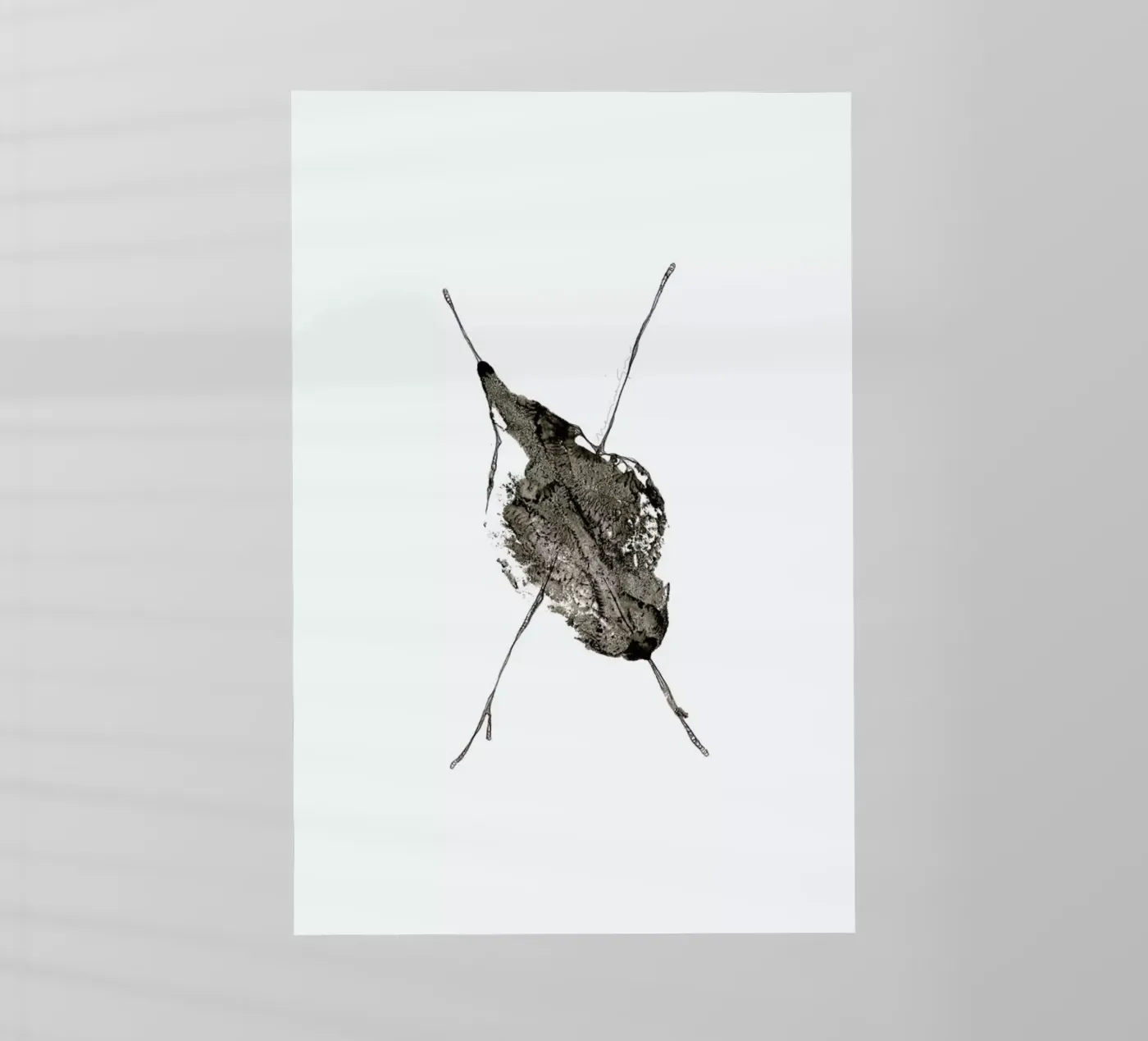 X pellicola backlit da Marina Guiu