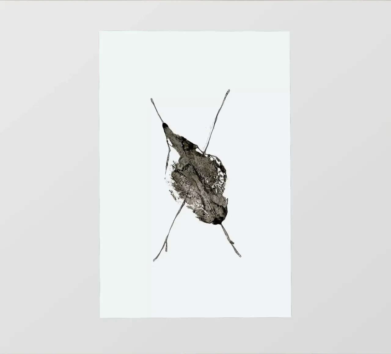 X pellicola backlit da Marina Guiu