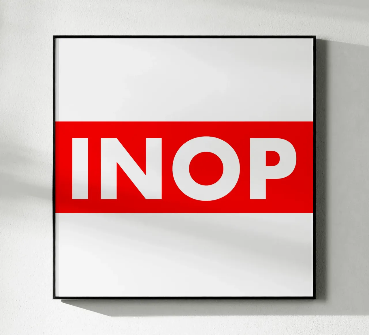 INOP plexiglass da pilotpegasus