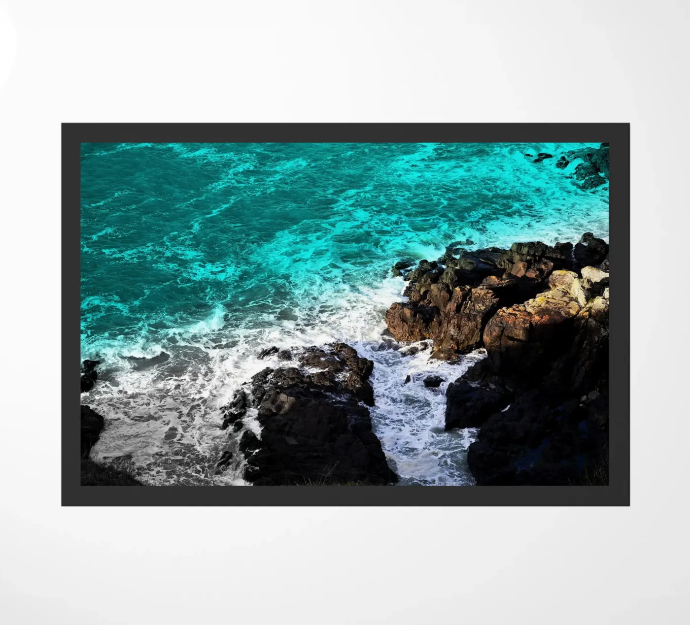 FAA210 zerbino da Thierry vobmann photography