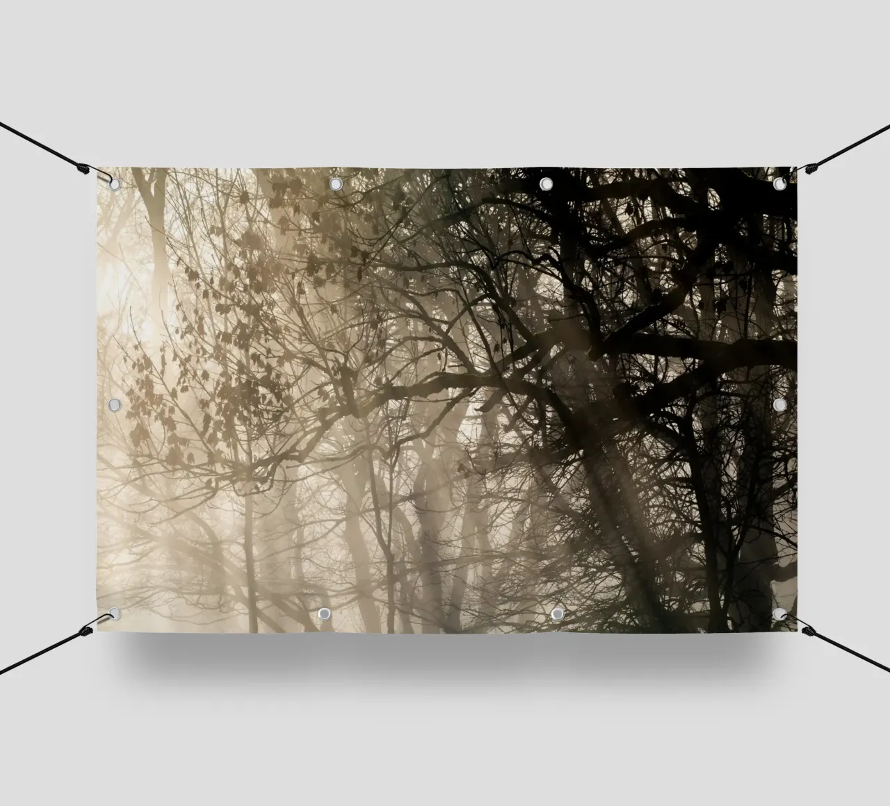 An image of a beautiful tree in the fog in the forest PVC Plane von anderm