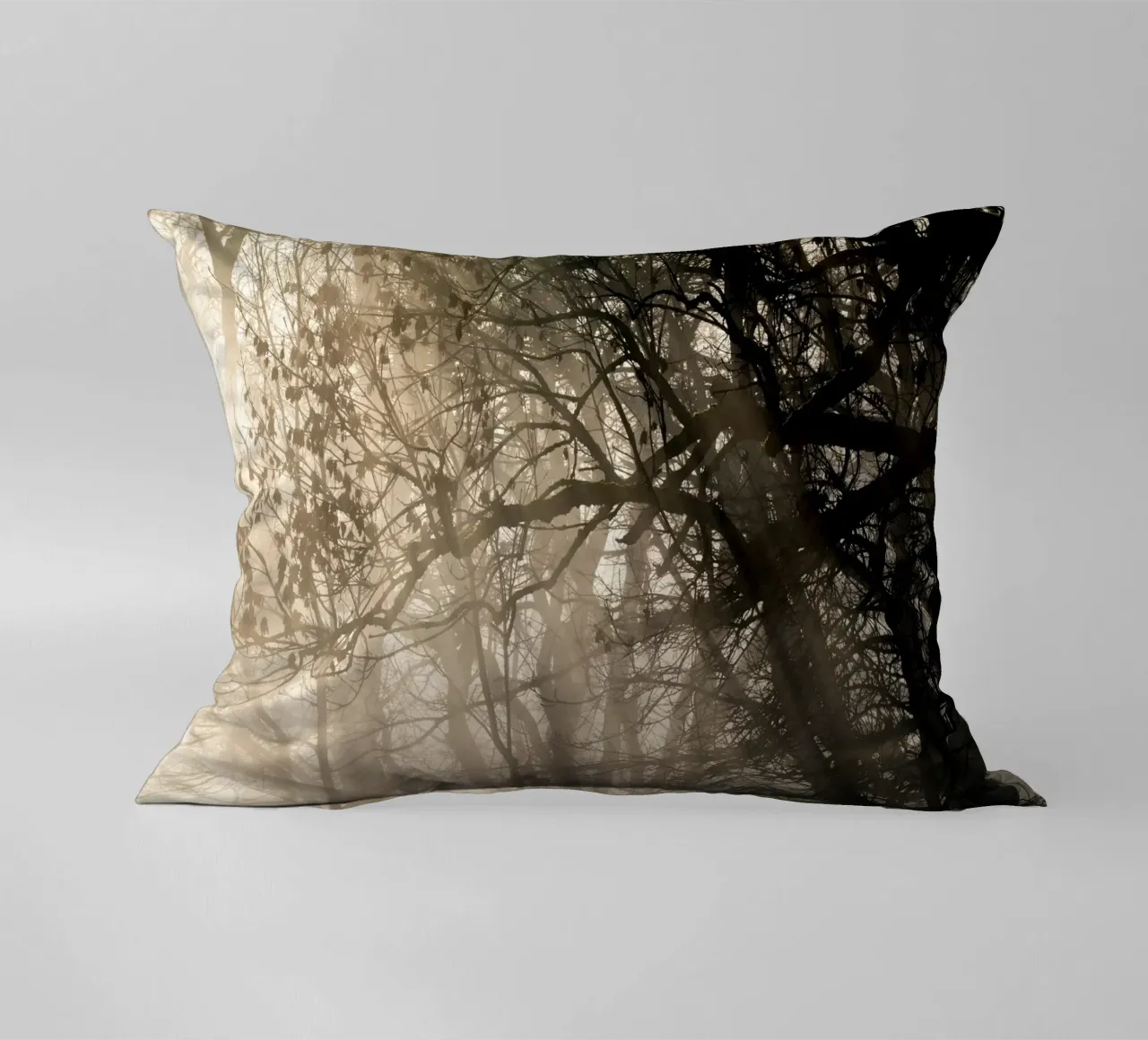 An image of a beautiful tree in the fog in the forest coussin de anderm