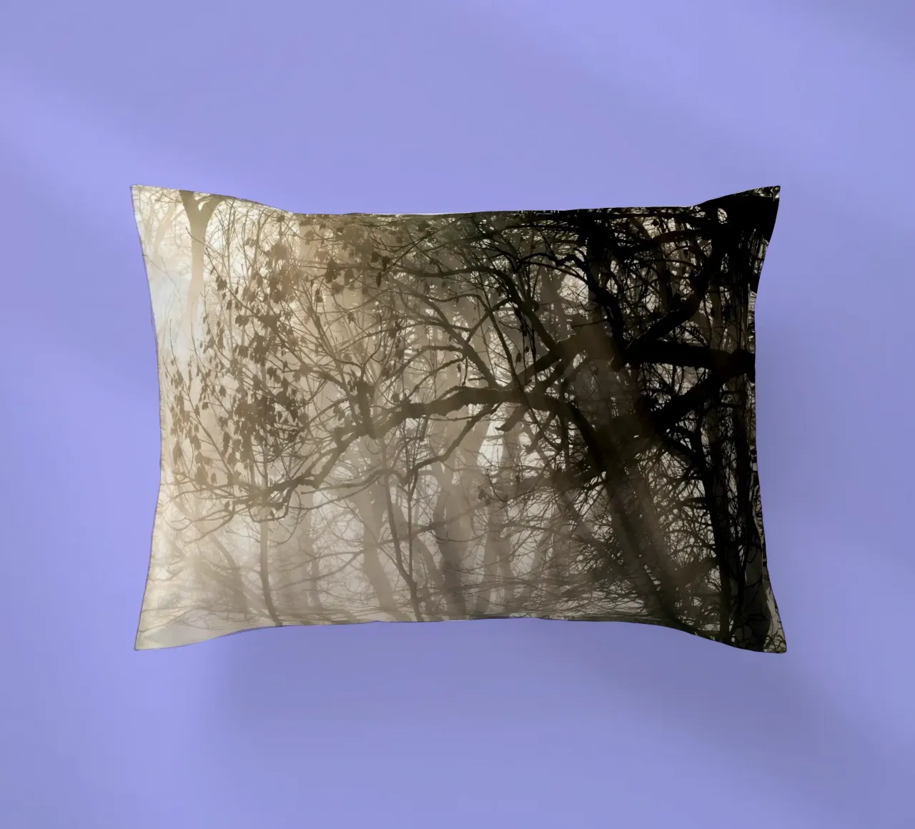An image of a beautiful tree in the fog in the forest coussin de anderm