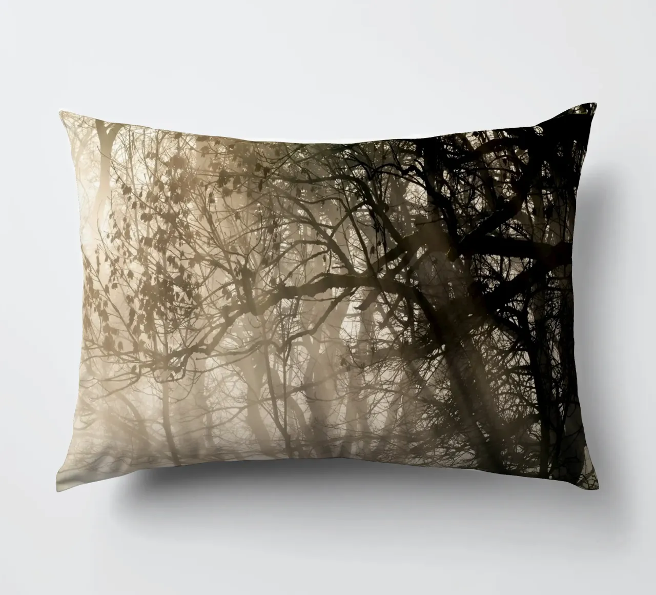 An image of a beautiful tree in the fog in the forest coussin de anderm