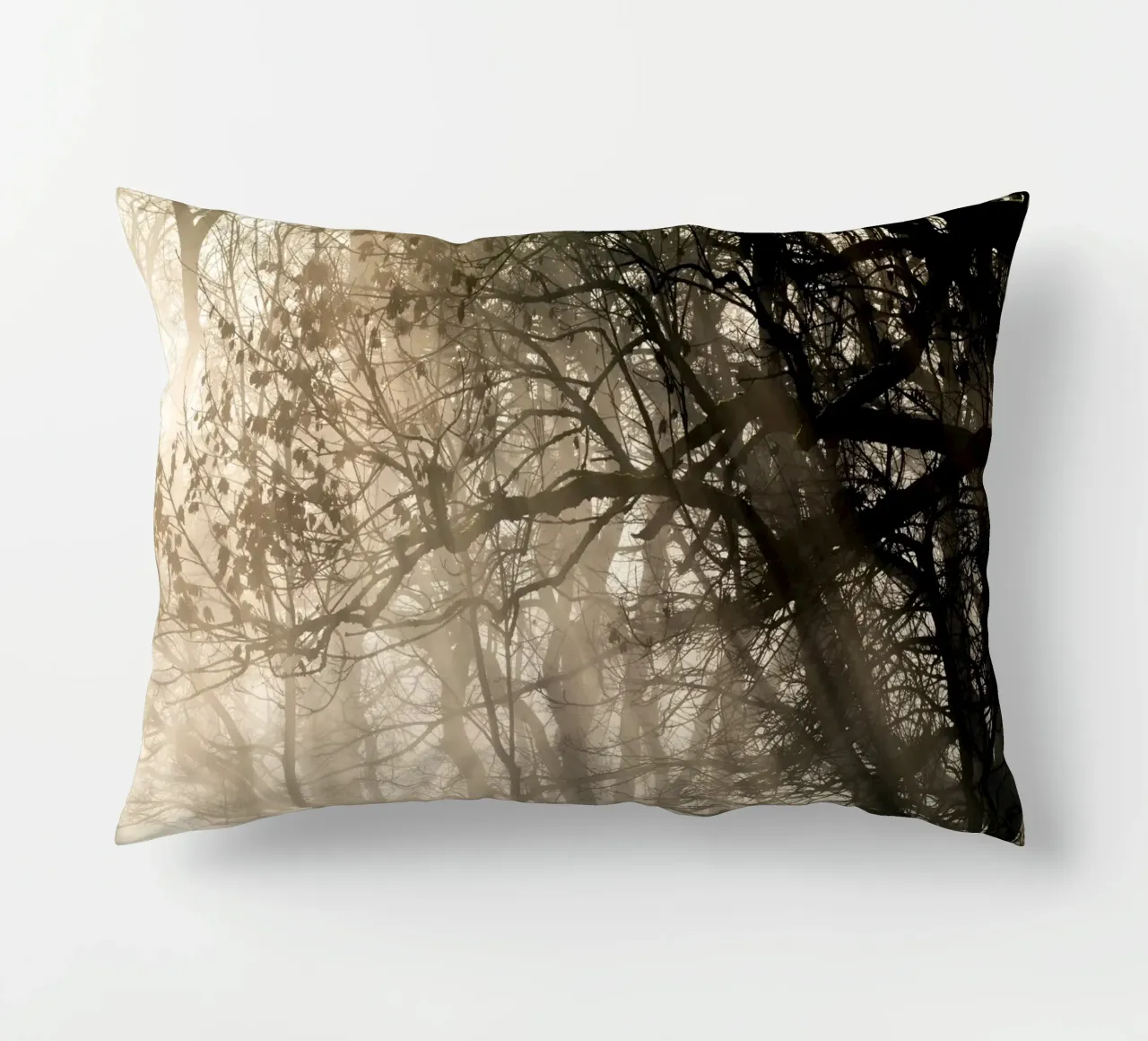 An image of a beautiful tree in the fog in the forest coussin de anderm