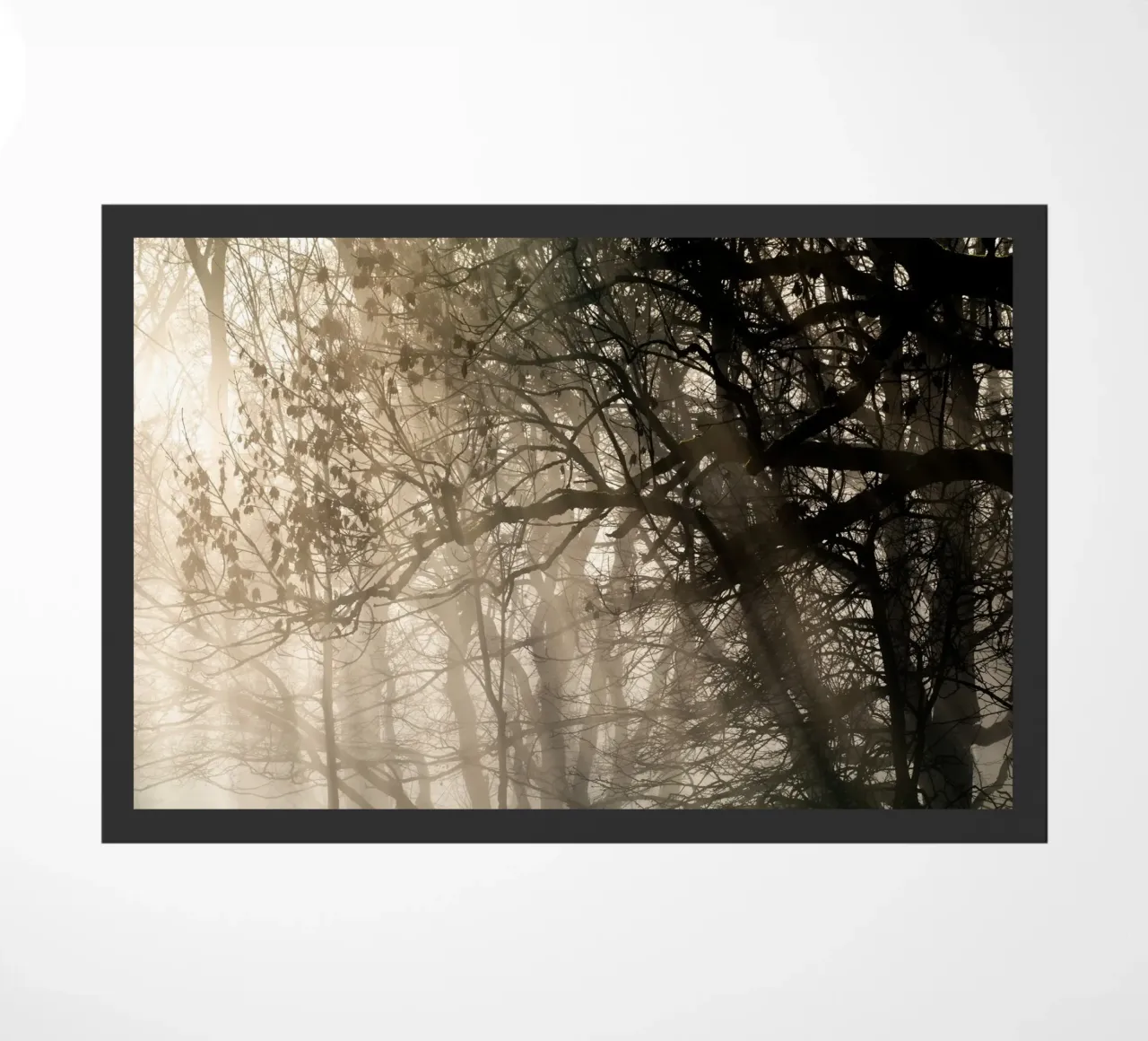An image of a beautiful tree in the fog in the forest Fußmatte von anderm
