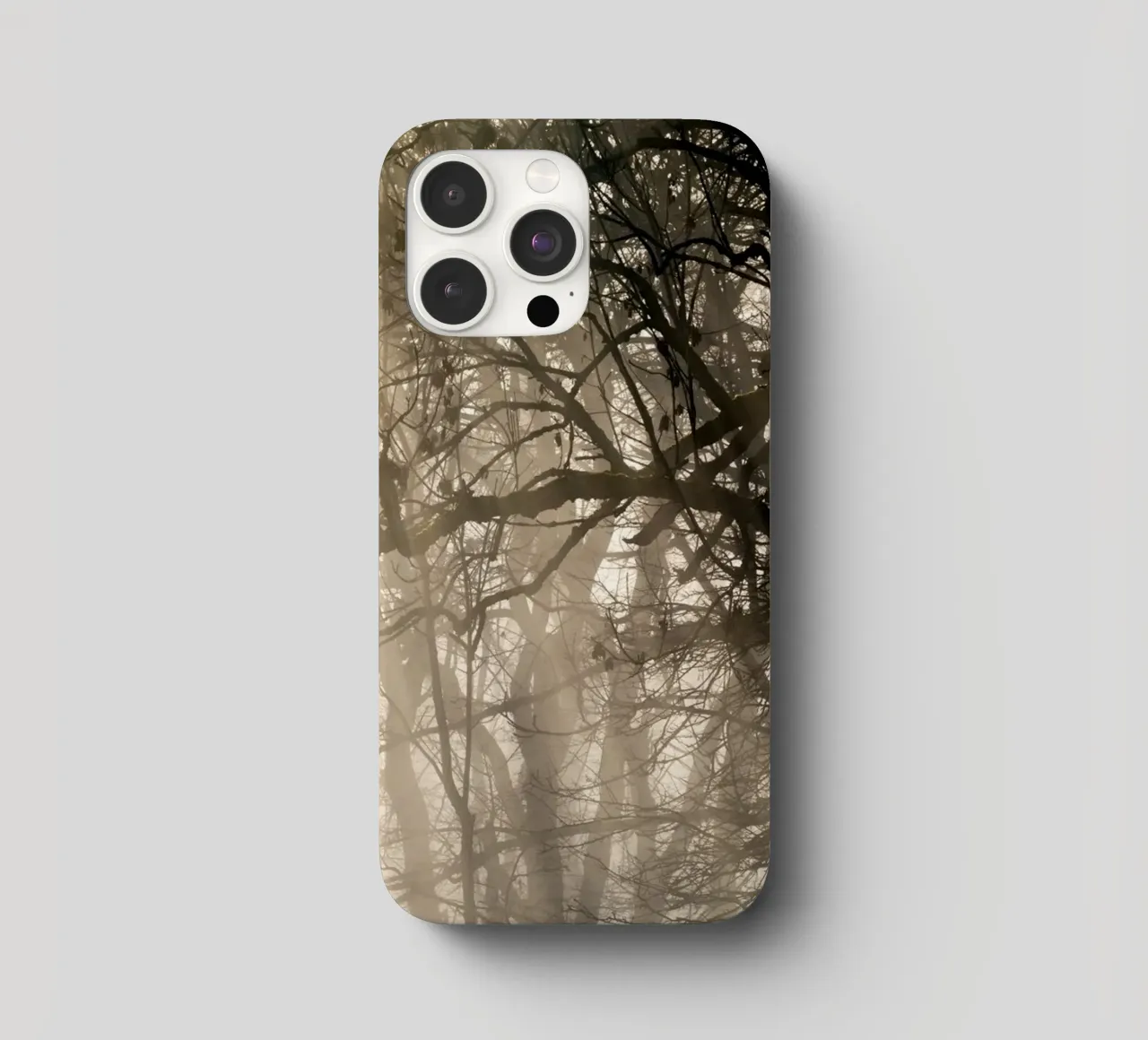 An image of a beautiful tree in the fog in the forest iPhone Hülle von anderm