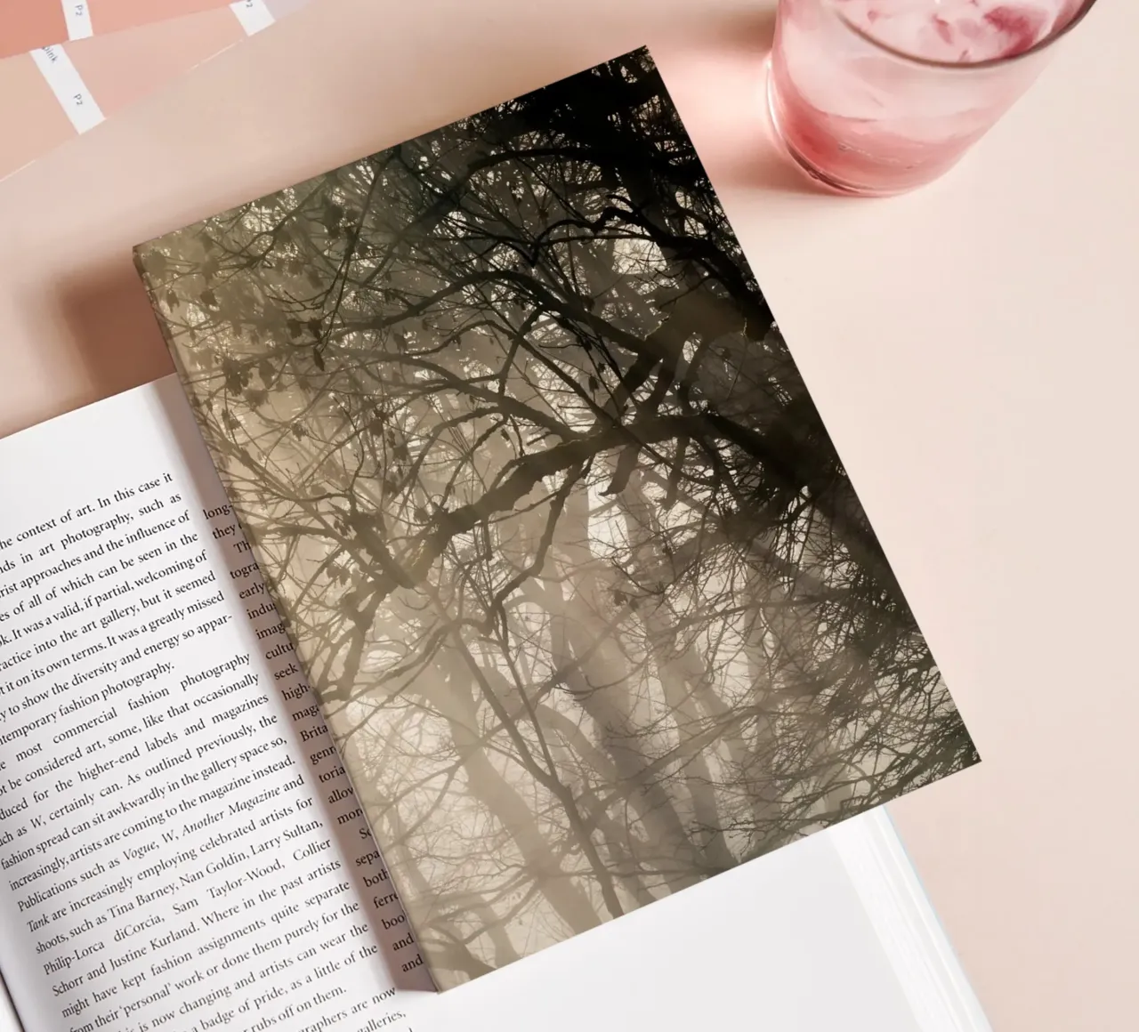 An image of a beautiful tree in the fog in the forest diario da anderm