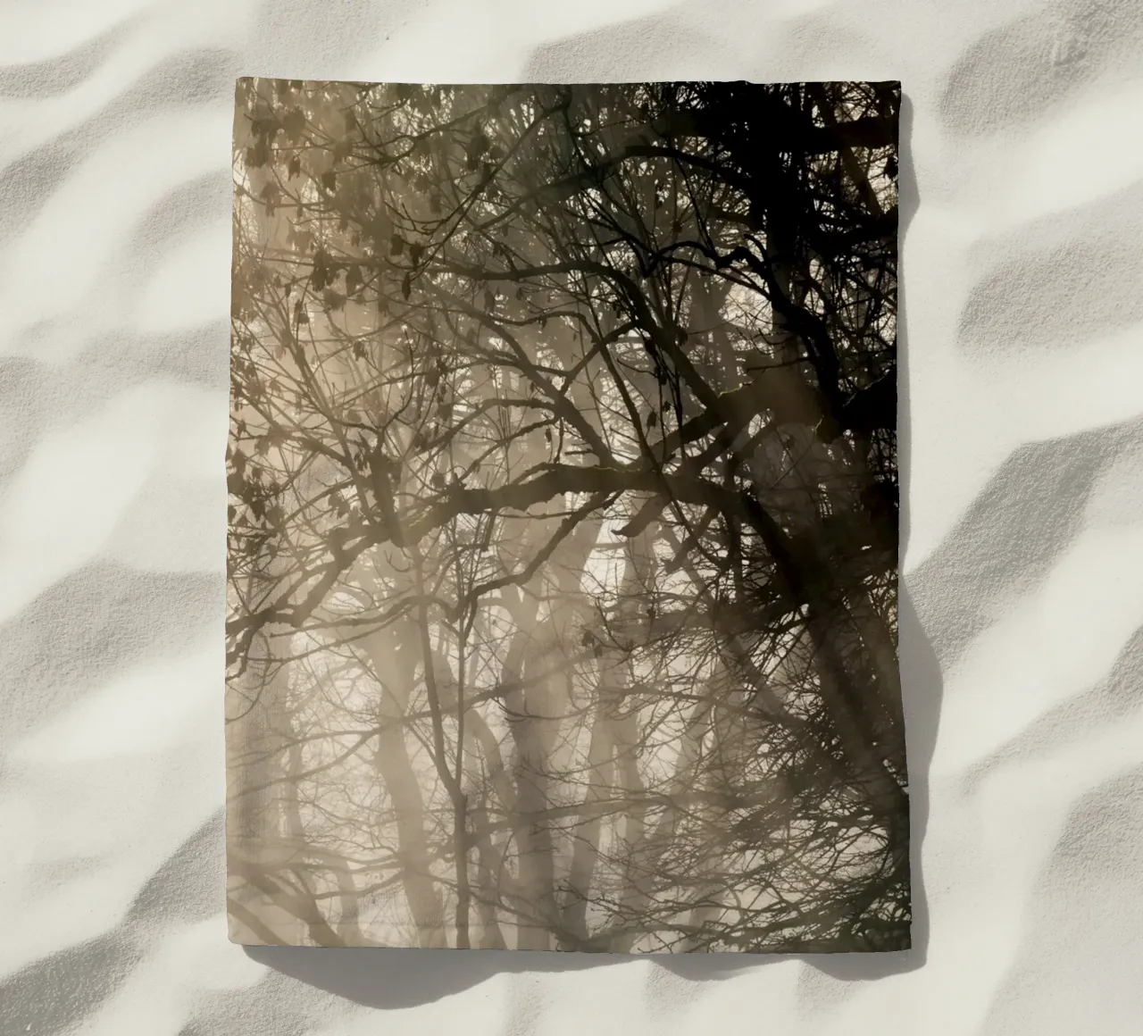 An image of a beautiful tree in the fog in the forest telo mare da anderm