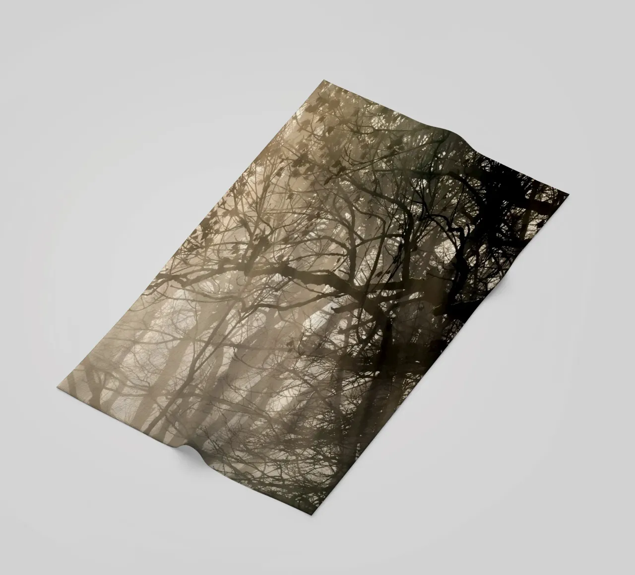 An image of a beautiful tree in the fog in the forest telo mare da anderm