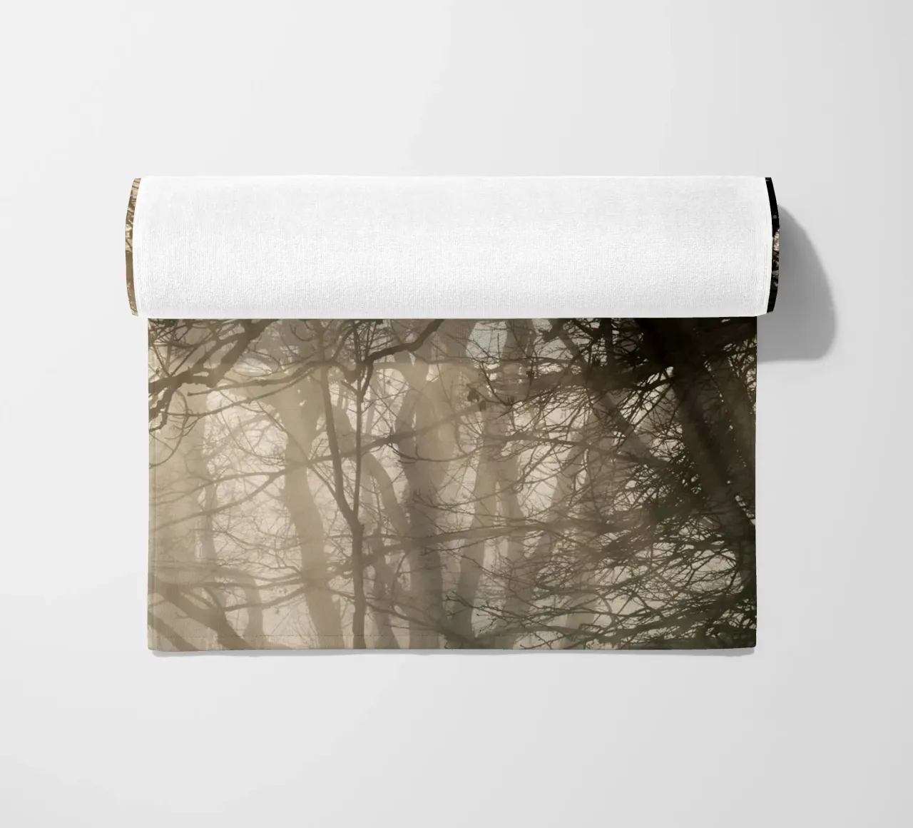 An image of a beautiful tree in the fog in the forest telo mare da anderm