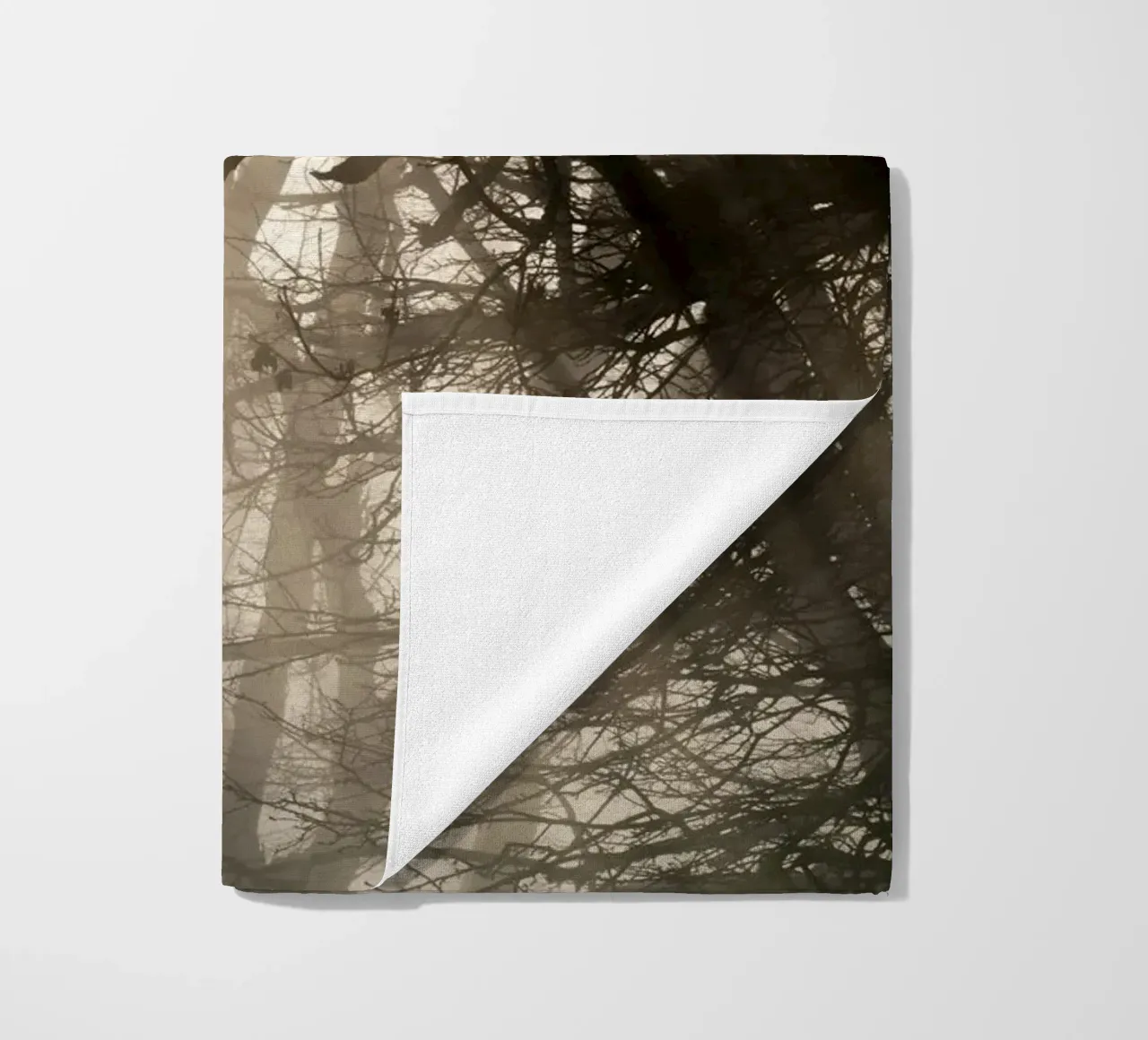 An image of a beautiful tree in the fog in the forest telo mare da anderm