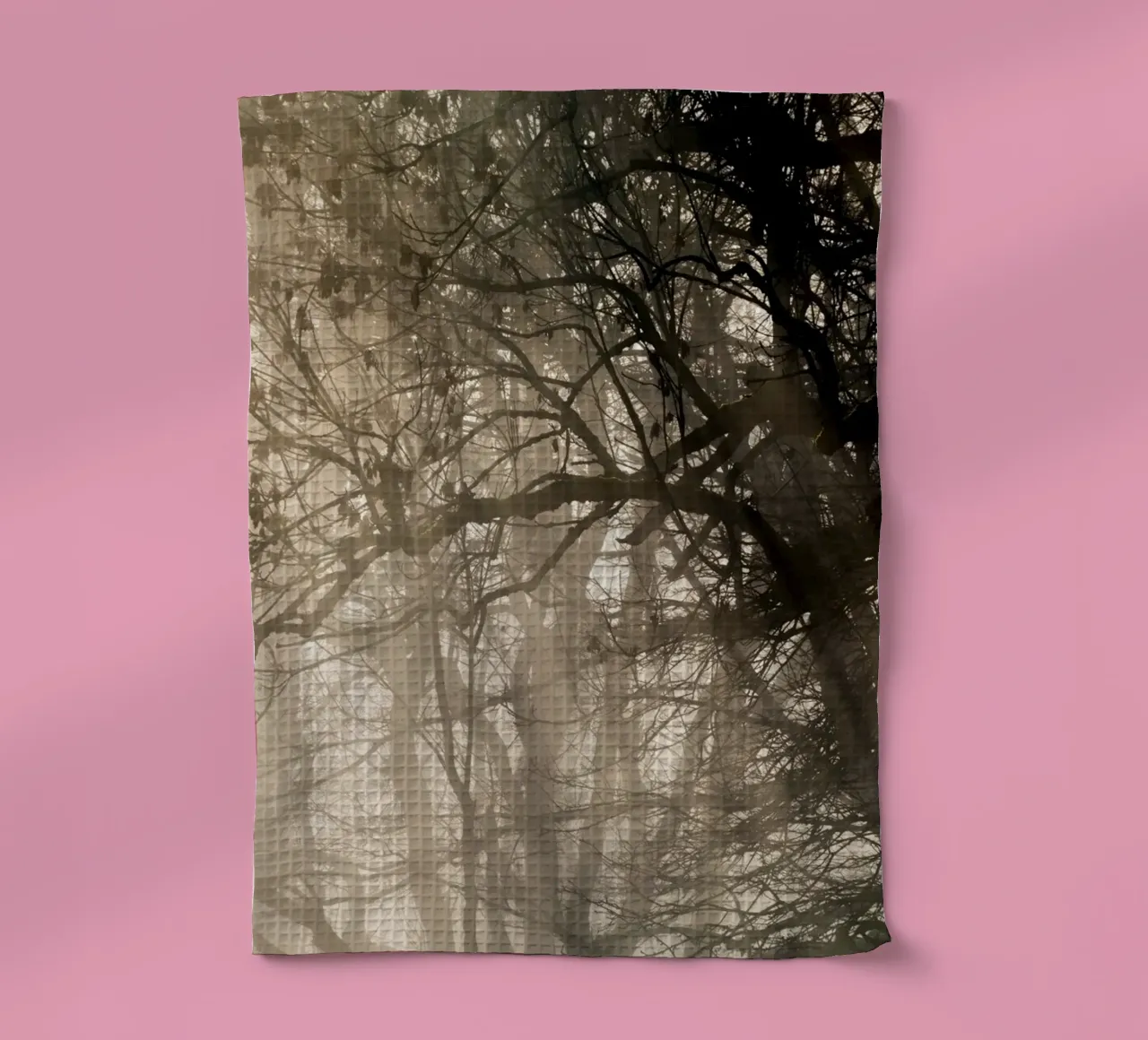 An image of a beautiful tree in the fog in the forest canovaccio da cucina da anderm