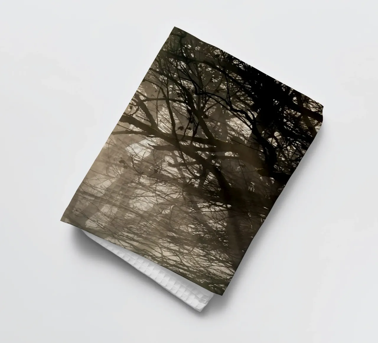 An image of a beautiful tree in the fog in the forest canovaccio da cucina da anderm