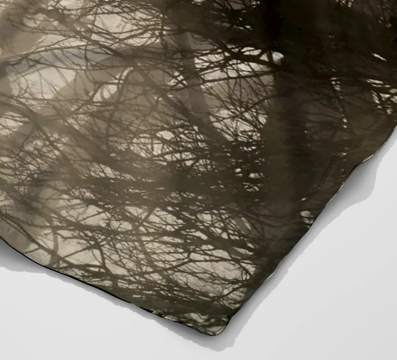 An image of a beautiful tree in the fog in the forest coperta in pile da anderm