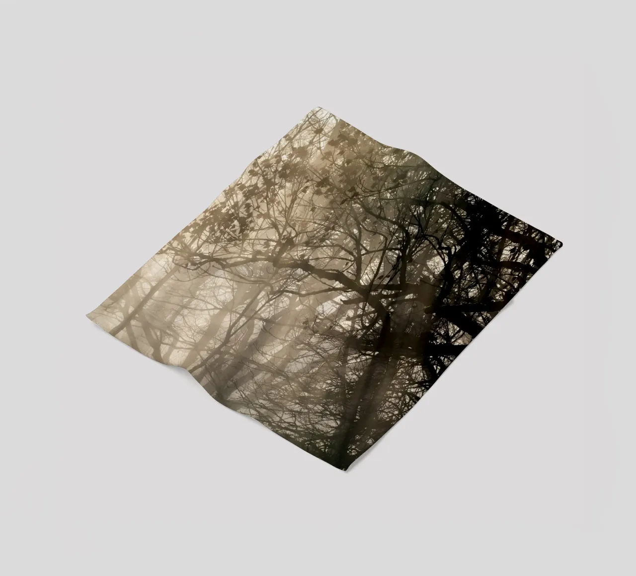 An image of a beautiful tree in the fog in the forest coperta in pile da anderm