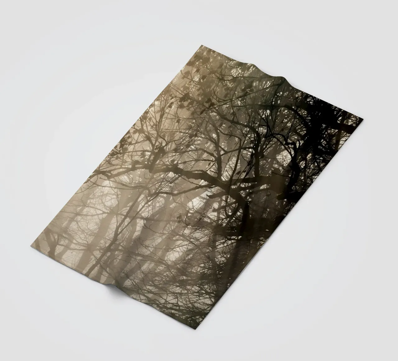 An image of a beautiful tree in the fog in the forest coperta in pile da anderm