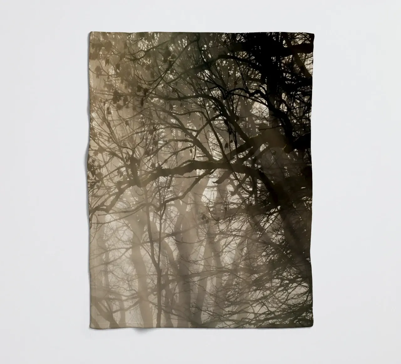 An image of a beautiful tree in the fog in the forest coperta in pile da anderm