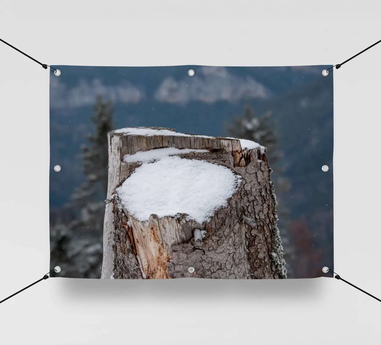 Tronco d'albero coperto di neve telo in pvc da anderm