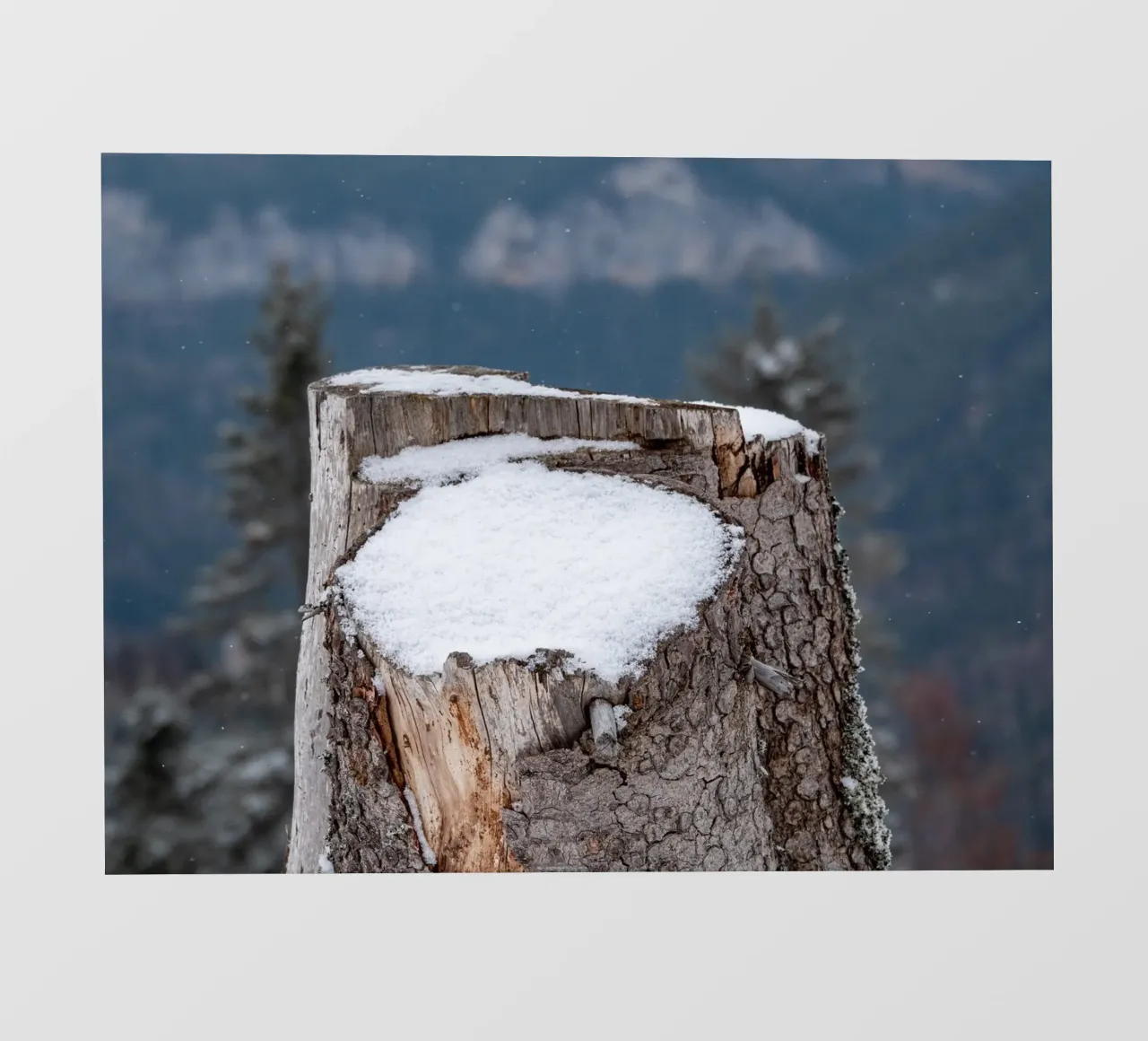 Tronco d'albero coperto di neve telo in pvc da anderm