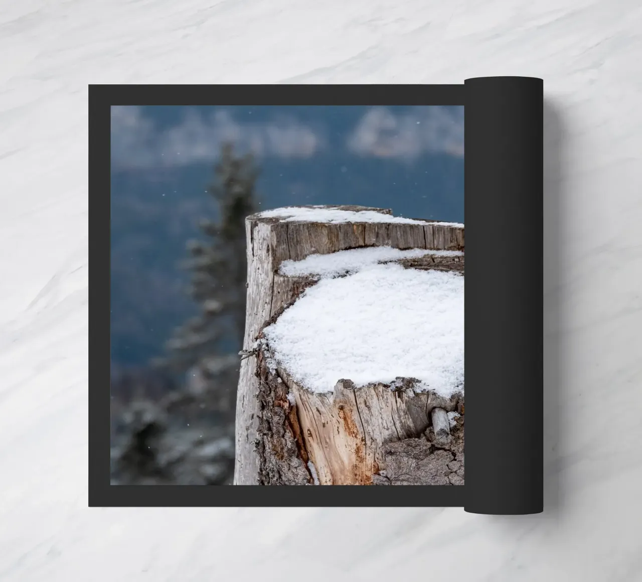 Tronco d'albero coperto di neve zerbino da anderm