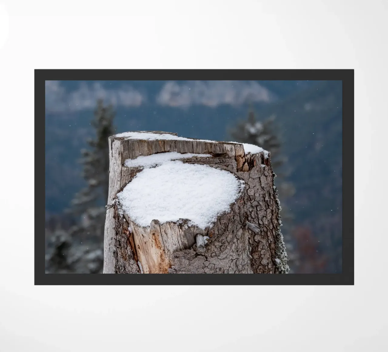 Tronco d'albero coperto di neve zerbino da anderm