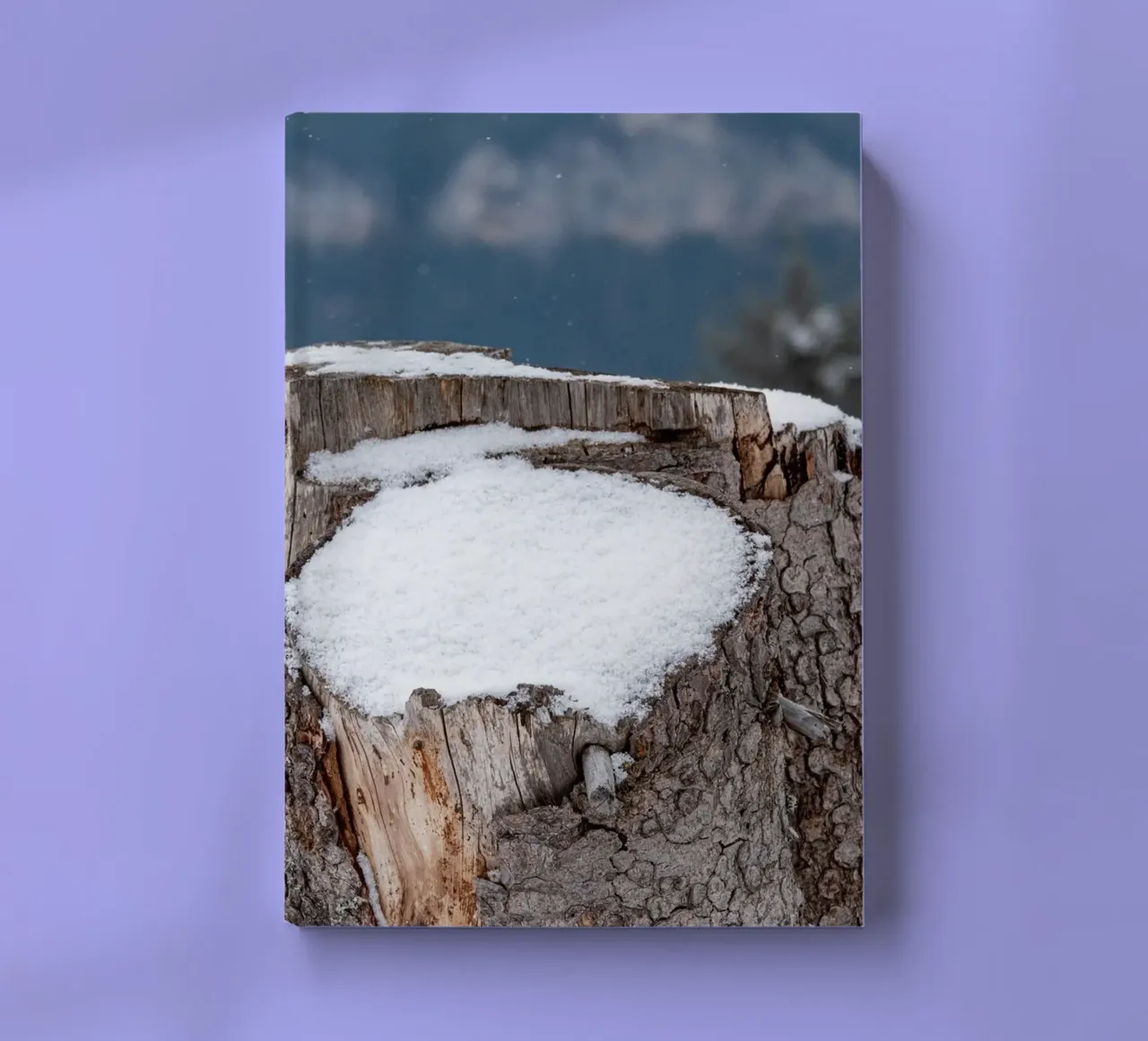 Snow covered tree trunk notebook by anderm