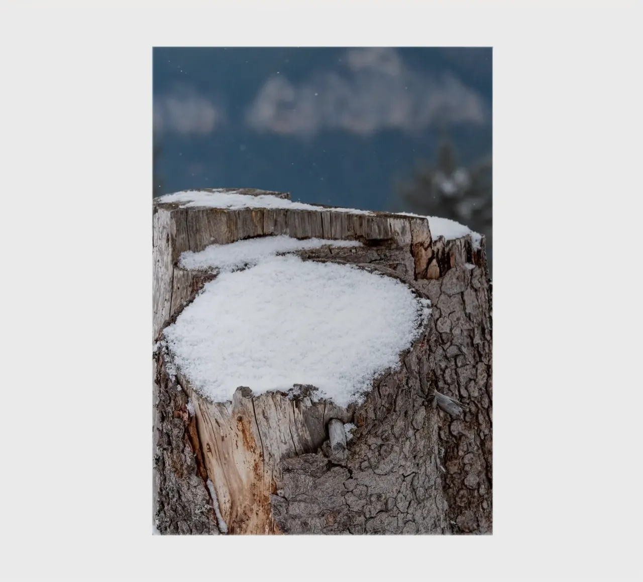 Snow covered tree trunk notebook by anderm