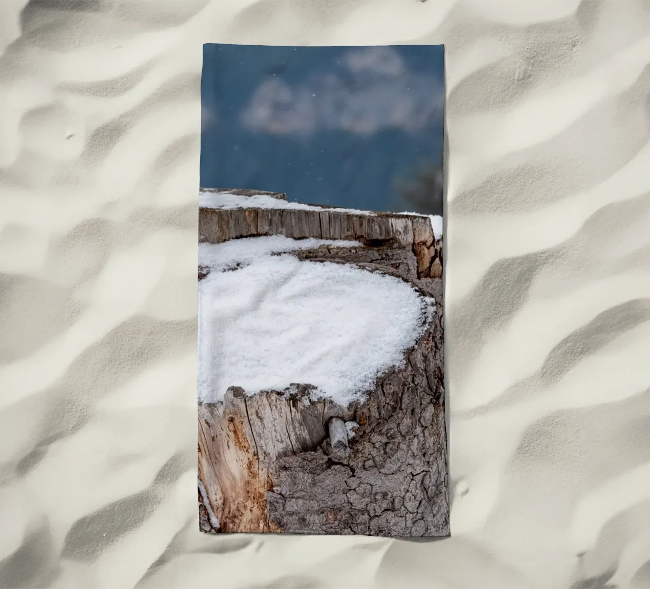 Tronco d'albero coperto di neve telo mare da anderm