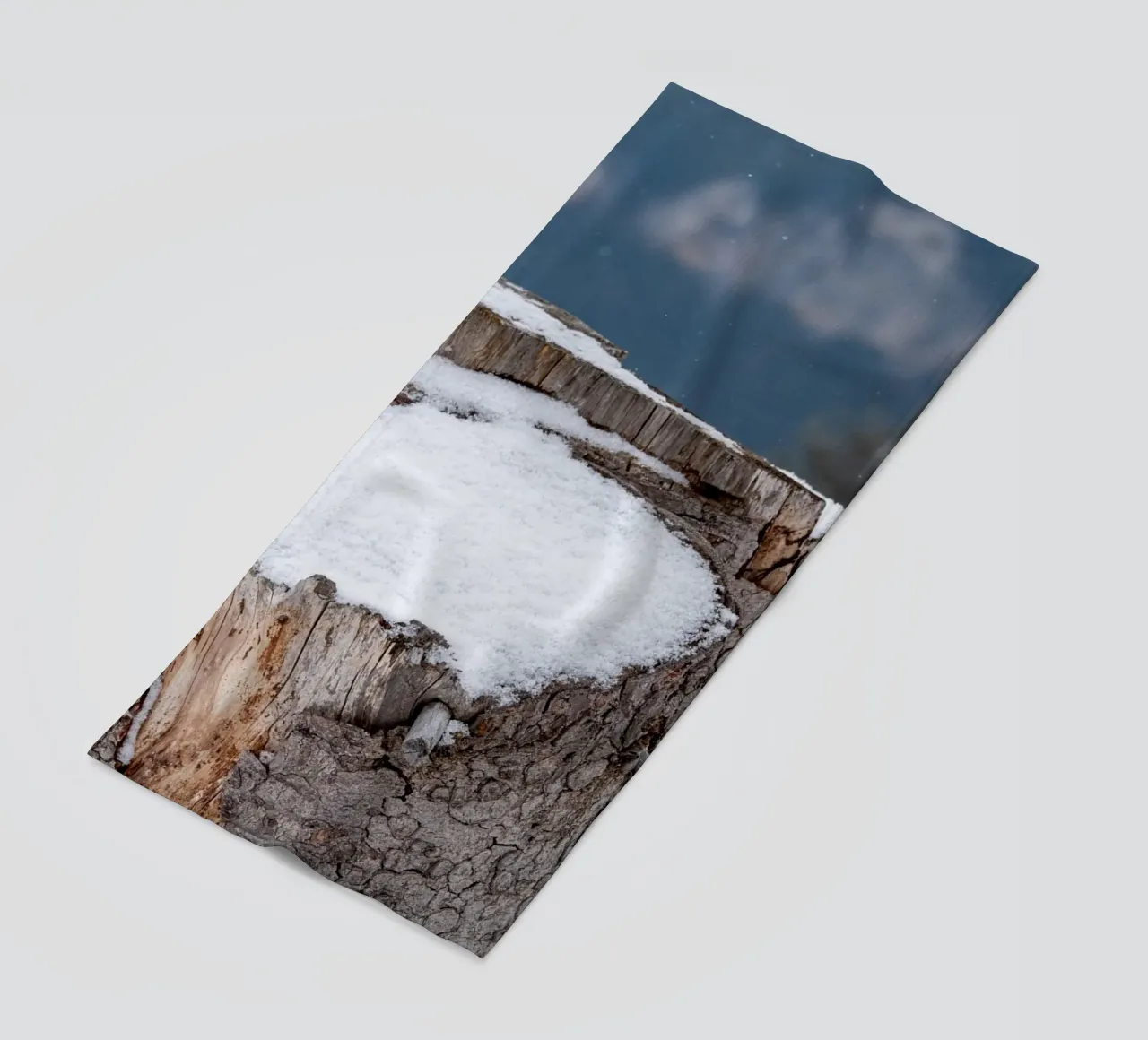 Tronco d'albero coperto di neve telo mare da anderm