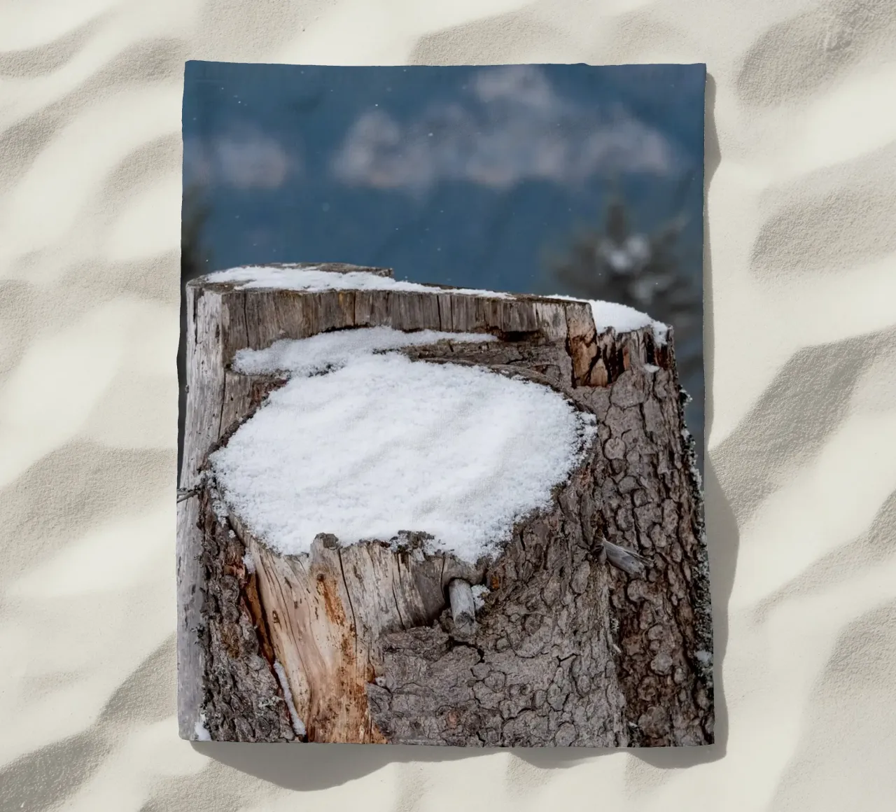 Tronco d'albero coperto di neve telo mare da anderm