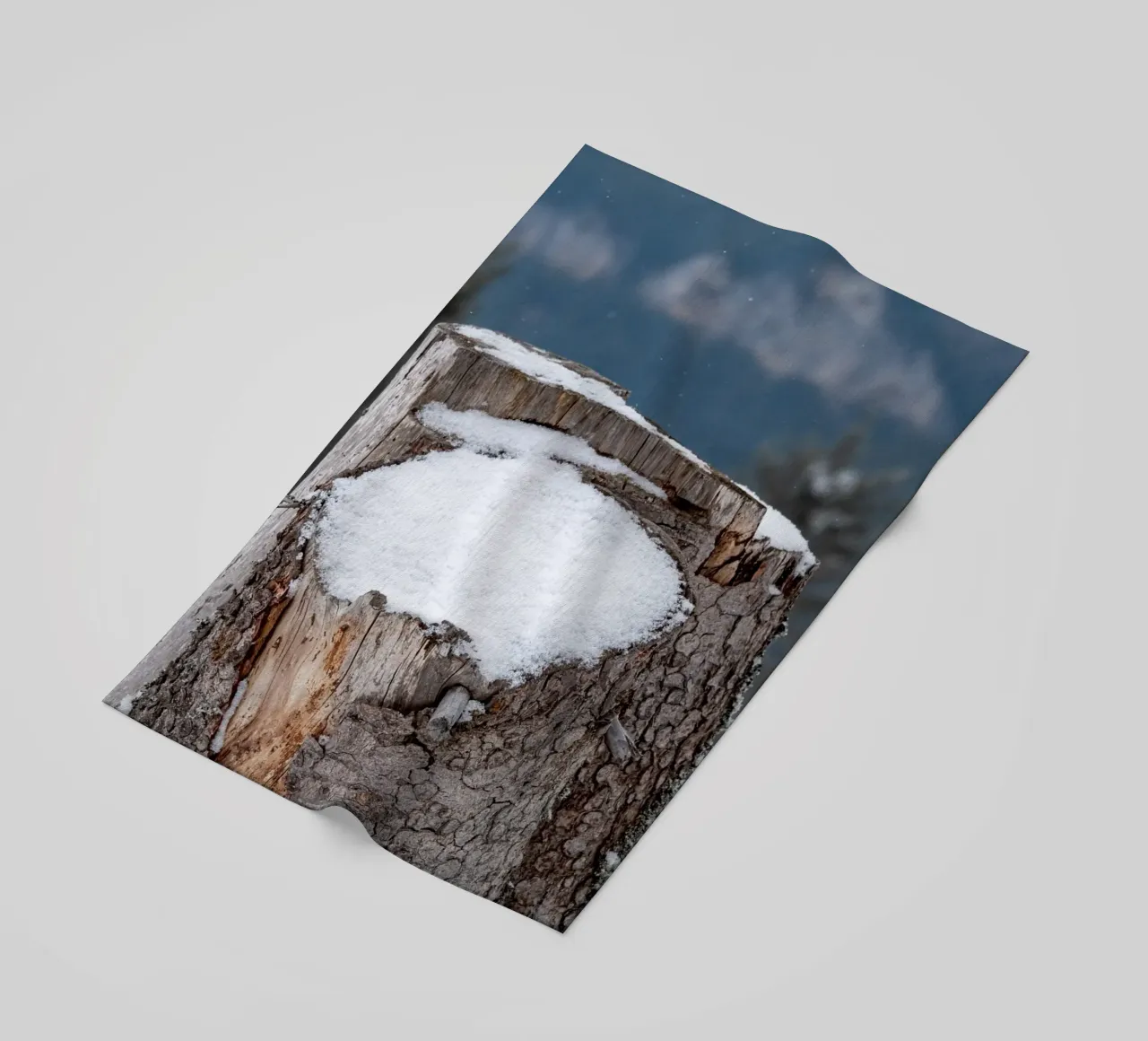 Tronco d'albero coperto di neve telo mare da anderm