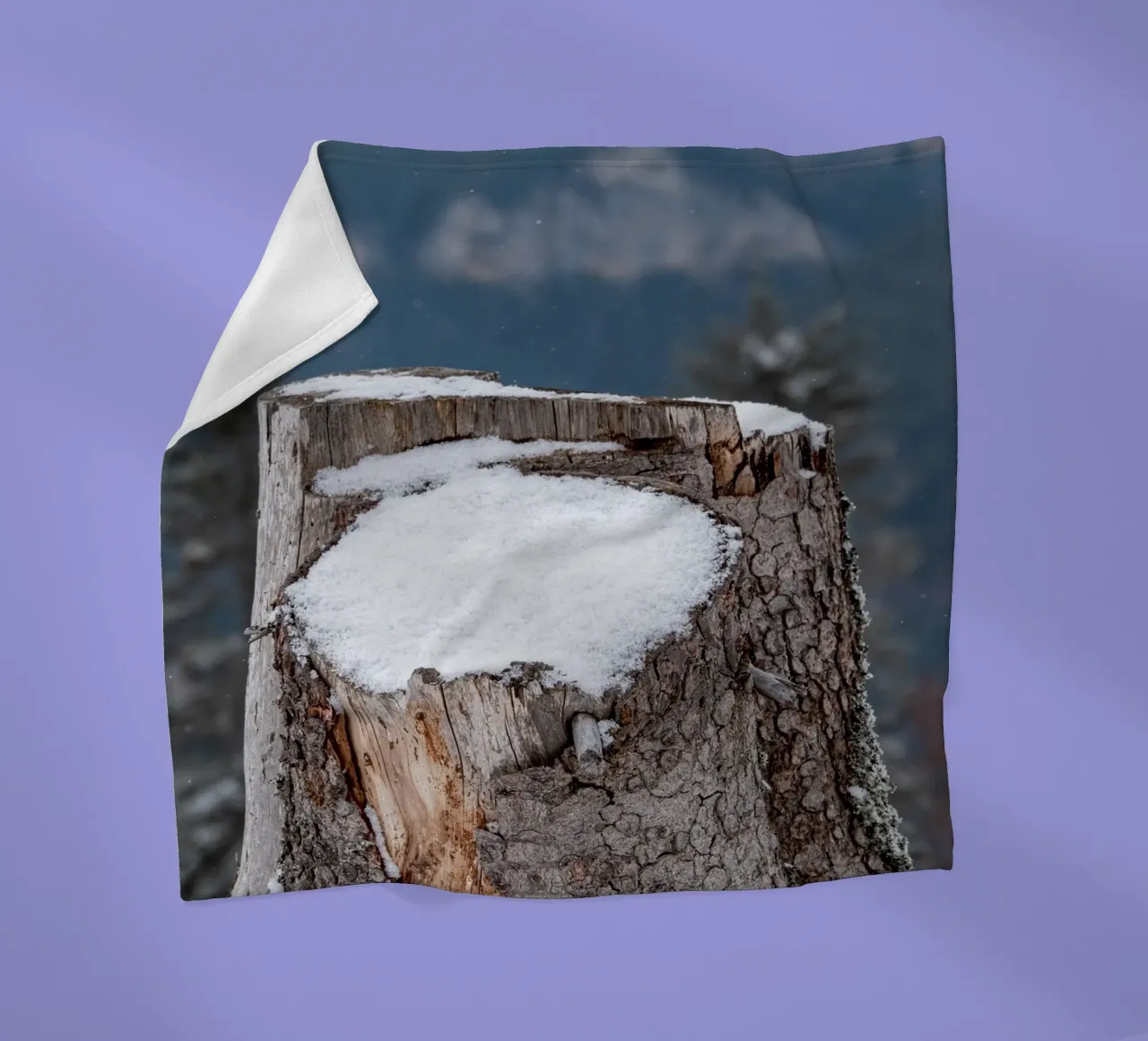 Tronco d'albero coperto di neve coperta in pile da anderm