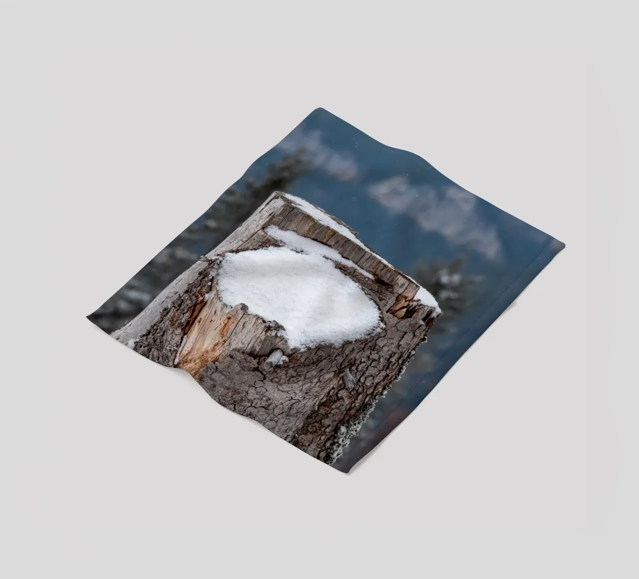 Tronco d'albero coperto di neve coperta in pile da anderm
