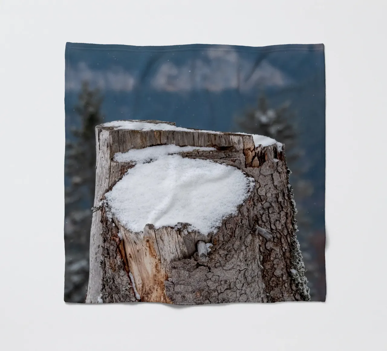 Tronco d'albero coperto di neve coperta in pile da anderm