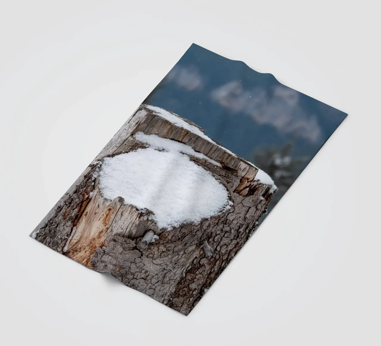Tronco d'albero coperto di neve coperta in pile da anderm