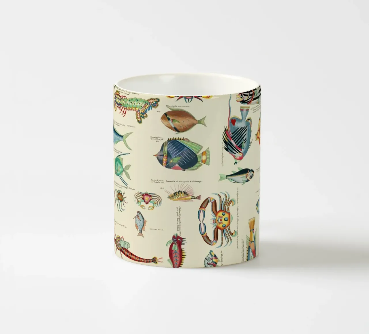 Illustrazione multicolore di pesci e vita marina tazza in ceramica da Andrea Haase Vintage World
