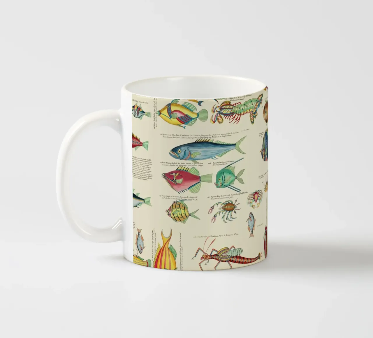 Illustrazione multicolore di pesci e vita marina tazza in ceramica da Andrea Haase Vintage World