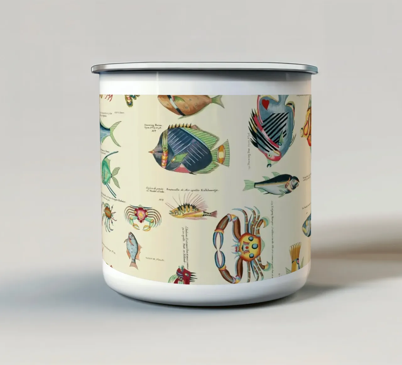 Illustrazione multicolore di pesci e vita marina tazza in smalto da Andrea Haase Vintage World