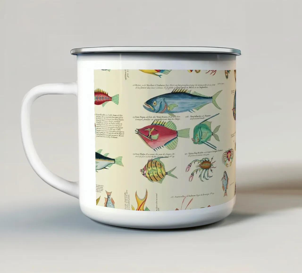 Illustrazione multicolore di pesci e vita marina tazza in smalto da Andrea Haase Vintage World