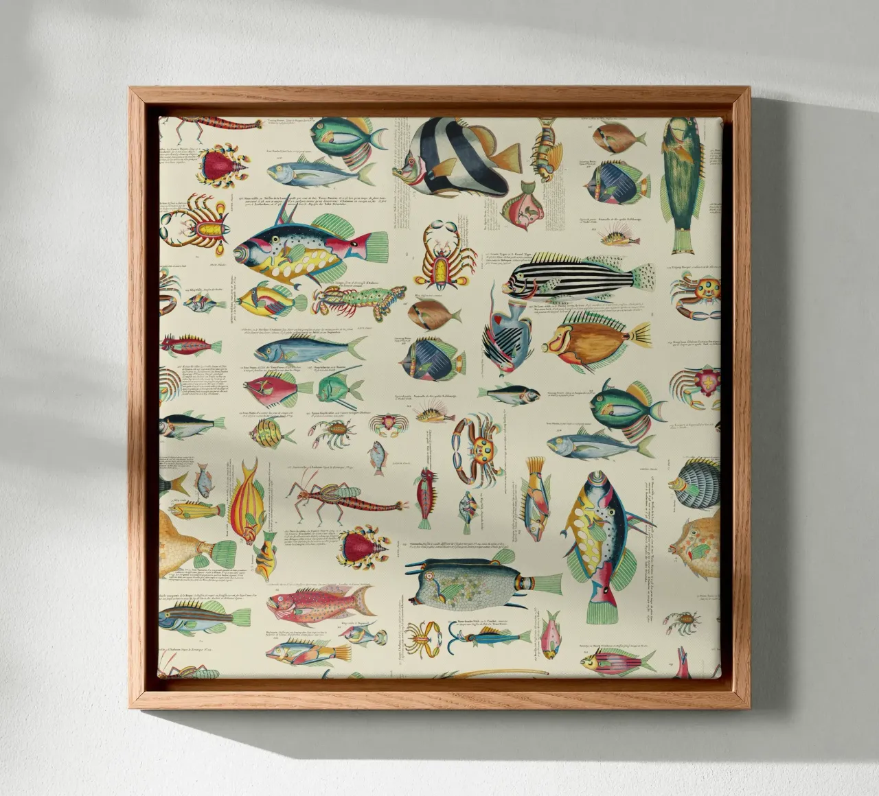 Illustrazione multicolore di pesci e vita marina tela con Cornice a cassetta da Andrea Haase Vintage World