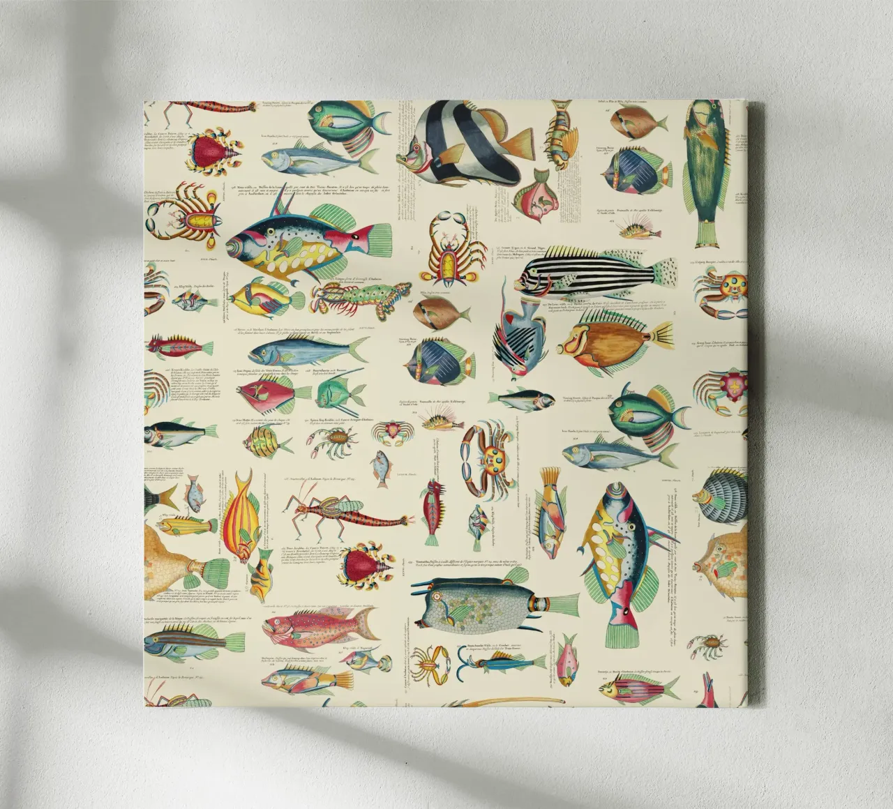 Illustrazione multicolore di pesci e vita marina tela con Cornice a cassetta da Andrea Haase Vintage World